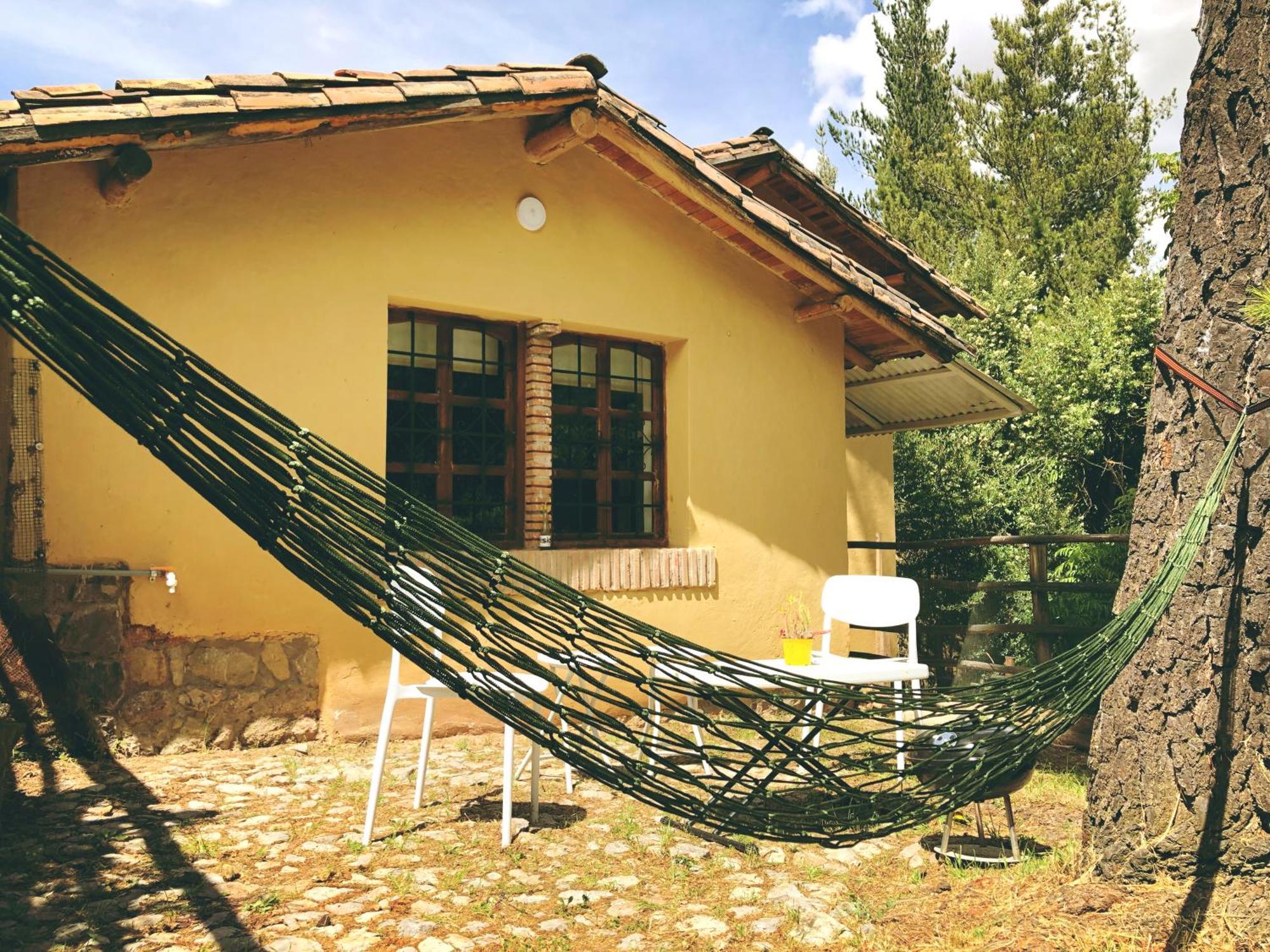 The Tree House Apartment Cusco