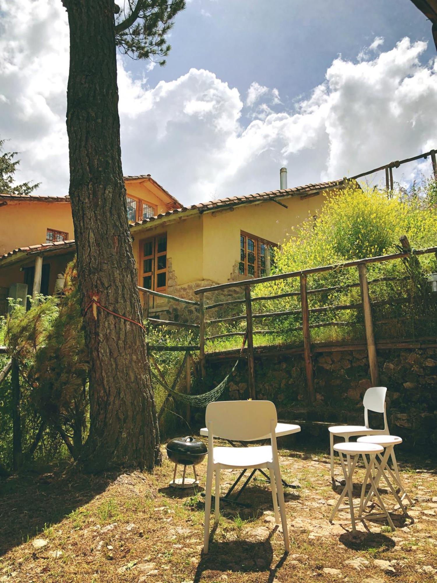 The Tree House *